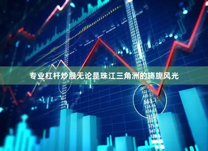 专业杠杆炒股无论是珠江三角洲的旖旎风光
