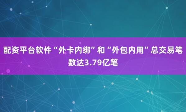 配资平台软件“外卡内绑”和“外包内用”总交易笔数达3.79亿笔