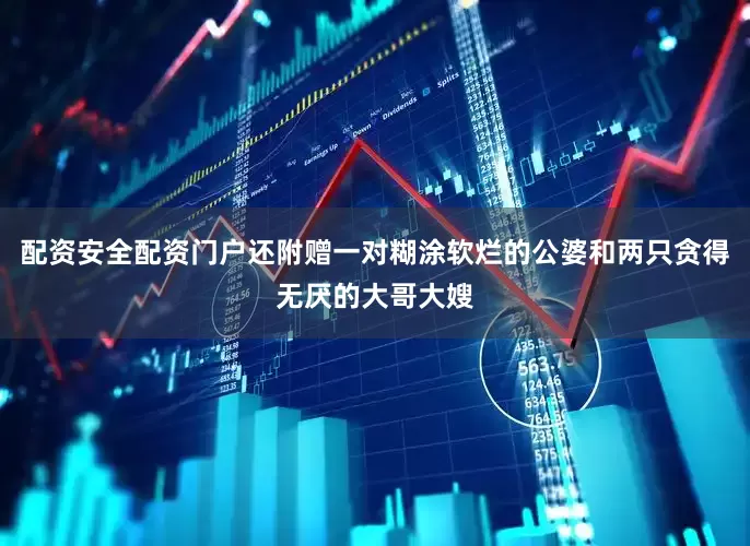 配资安全配资门户还附赠一对糊涂软烂的公婆和两只贪得无厌的大哥大嫂
