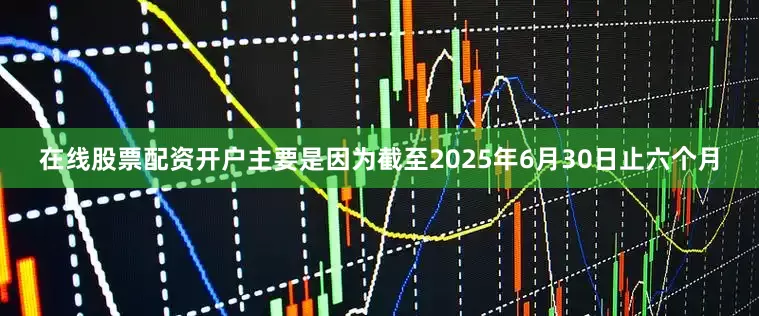 在线股票配资开户主要是因为截至2025年6月30日止六个月